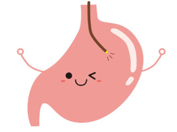 内臓イラスト