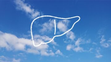 肝臓イメージ